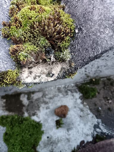 Derbyshire Asbestos Control Ltd — Customer photo