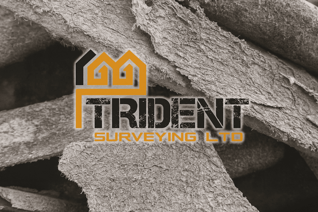 Trident Surveying Ltd