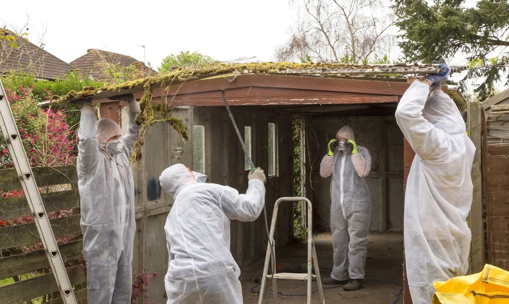 Goodbye Asbestos