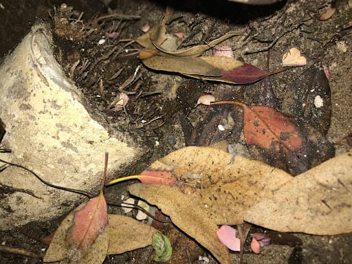 Asbestos Audit Ltd — Customer photo