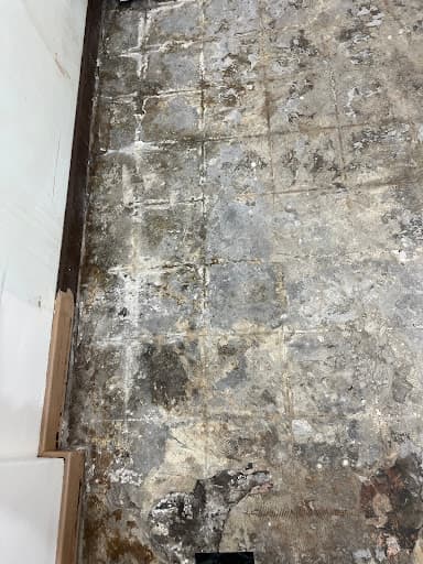 Safeline Environmental Ltd — Customer photo
