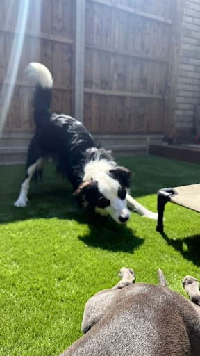 The Land Works | Landscaping | Groundworks | Artificial grass — Customer photo