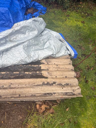 Zero Trace Asbestos Solutions Ltd — Customer photo