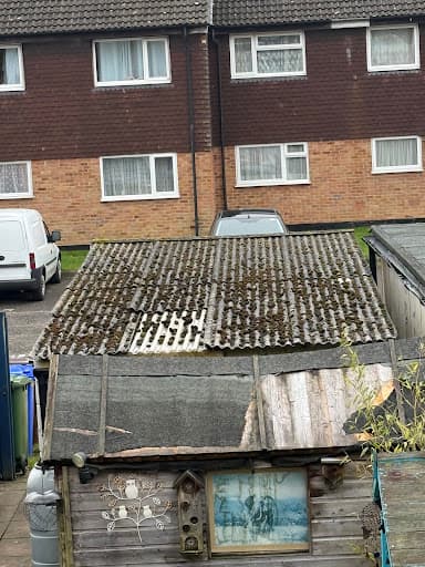 SafeZone Asbestos Solutions Ltd — Customer photo